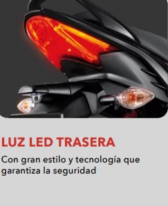 faro trasero